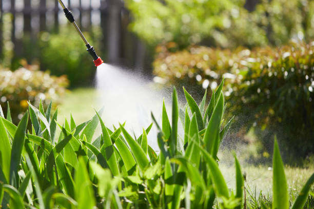 24/7 Emergency Termite Control experts in Mason, OH