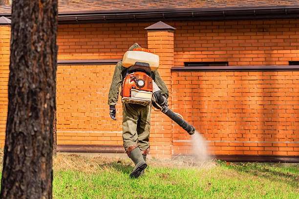 Top rated local Termite Control specialists in Mason, OH